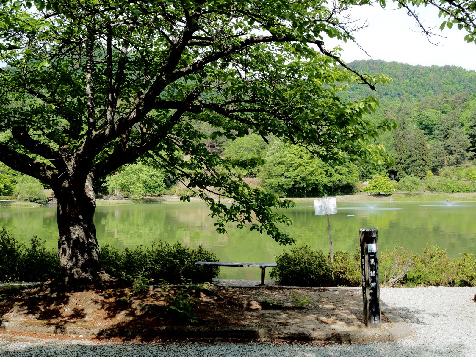 ヤマガタNoteについて